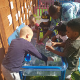 Kids playing at Tammy's Tiny Tots Nursery Kids playing at Tammy's Tiny Tots Nursery