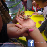 child holding a butterfly